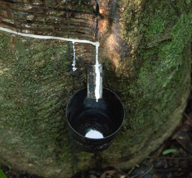 Veja Campo White Natural The sports edit