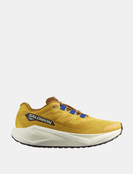 Salomon Aero Blaze 3 Grvl - Spicy Mustard/VanillaIce/Nautical Blueimages1- The Sports Edit