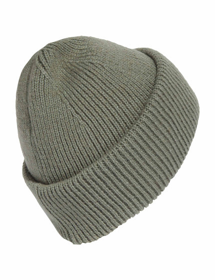 adidas Terrex Multi Beanie - Silver Green/Linen Greenimage2- The Sports Edit