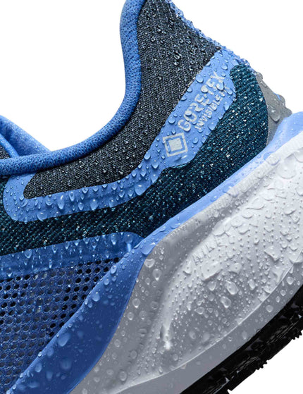 Nike Pegasus 41 Gore-Tex Shoes - Cobalt Bliss/Armoury Navy/Royal Pulse/Metallic Red Bronzeimage8- The Sports Edit